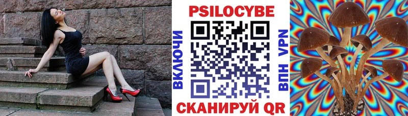 omg tor  Весьегонск  Псилоцибиновые грибы ЛСД 